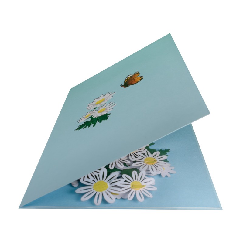 Butterflies & Daisies Pop Up Card