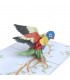 Bird/Parrot Pop Up Card