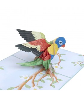 Bird/Parrot Pop Up Card