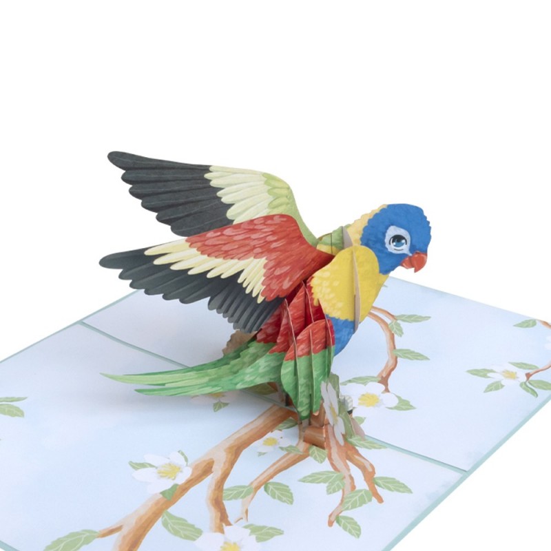 Bird/Parrot Pop Up Card