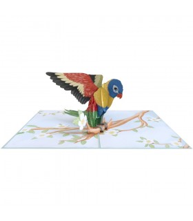 Bird/Parrot Pop Up Card
