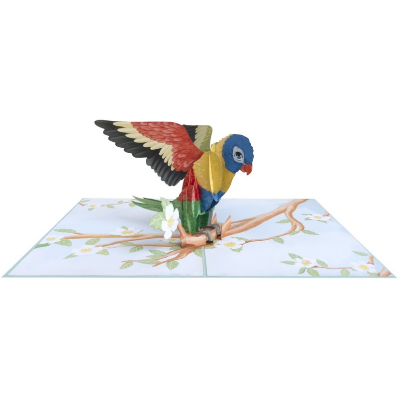 Bird/Parrot Pop Up Card