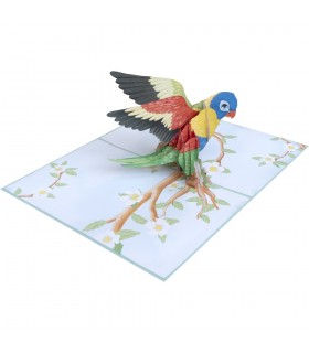Bird/Parrot Pop Up Card