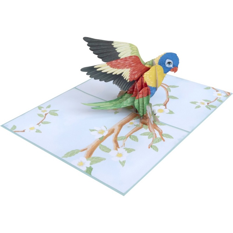 Bird/Parrot Pop Up Card