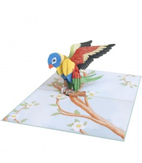 Bird/Parrot Pop Up Card
