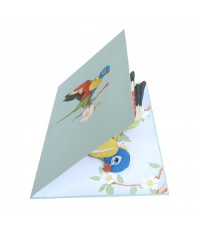 Bird/Parrot Pop Up Card