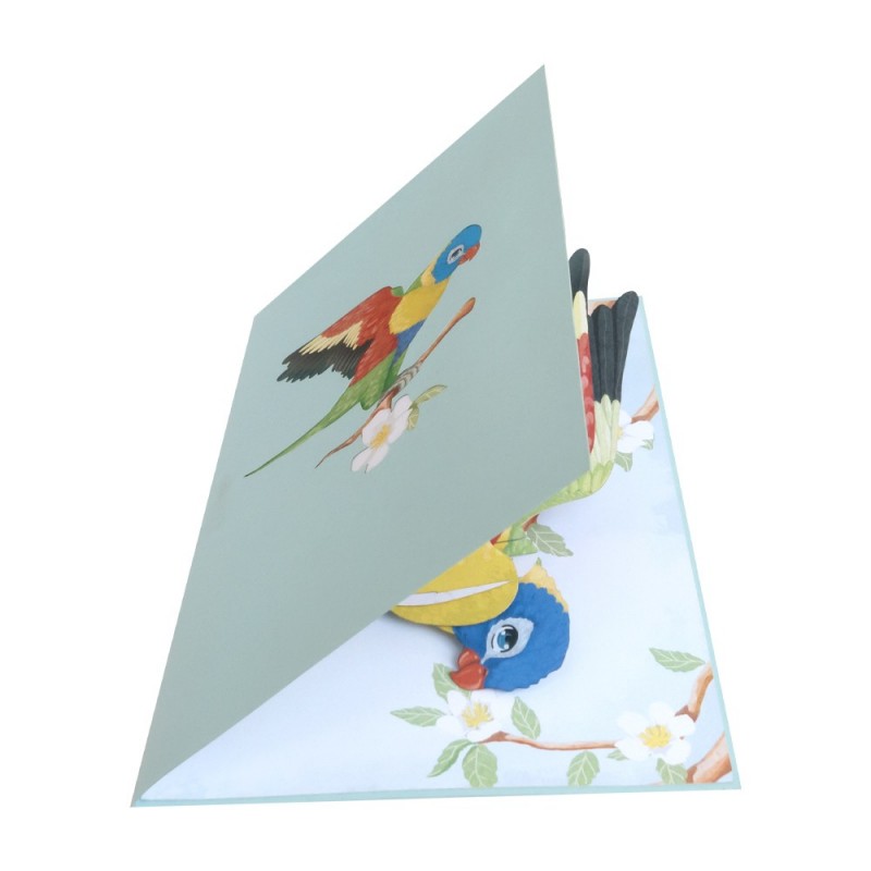 Bird/Parrot Pop Up Card