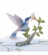 Hummingbird Bird Pop Up Card