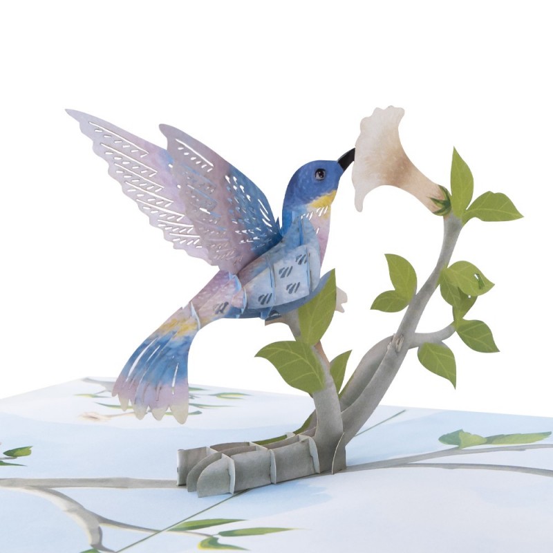 Hummingbird Bird Pop Up Card