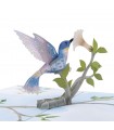 Kolibri Vogel Pop Up Karte