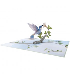 Hummingbird Bird Pop Up Card