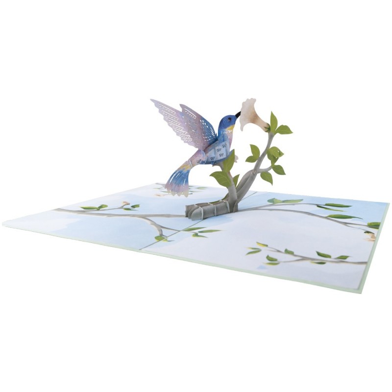 Hummingbird Bird Pop Up Card