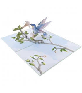 Hummingbird Bird Pop Up Card