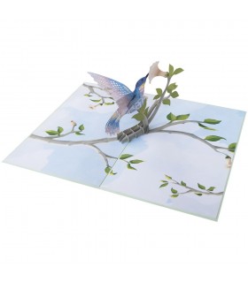 Hummingbird Bird Pop Up Card