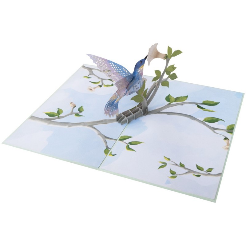 Hummingbird Bird Pop Up Card