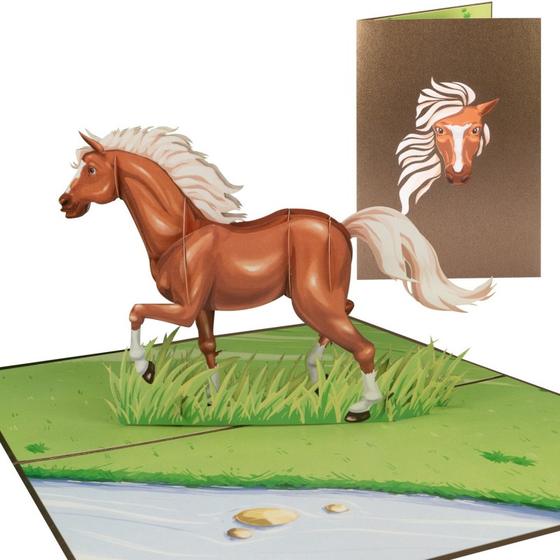 Horse/Pony pop up card