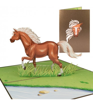 Horse/Pony pop up card