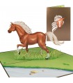 Horse Pop Up Card