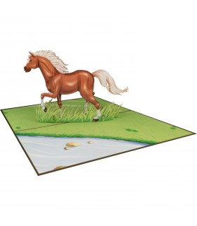 Horse/Pony pop up card