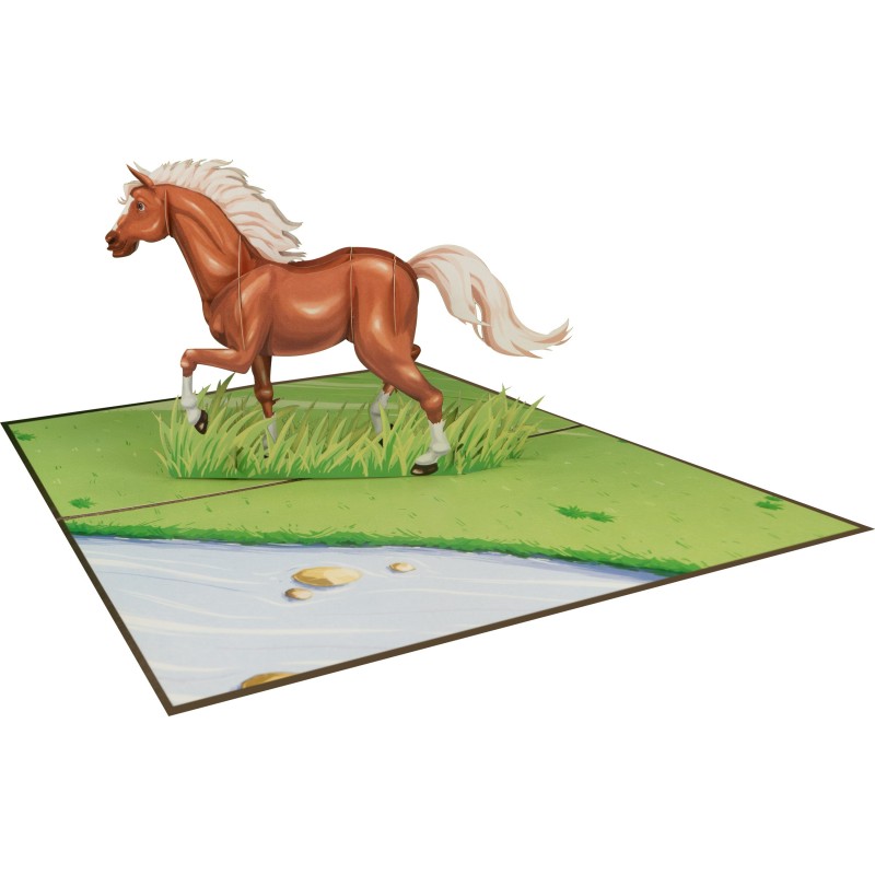 Horse/Pony pop up card