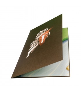 Horse/Pony pop up card
