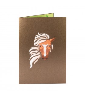 Horse/Pony pop up card