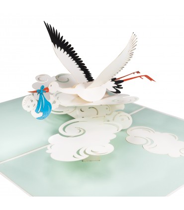 Storks and Baby Pop Up Card
