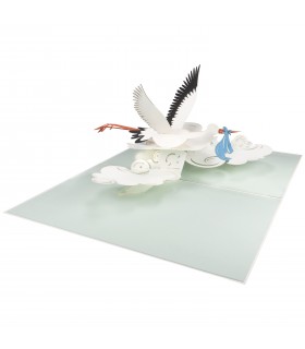 Storks and Baby Pop Up Card