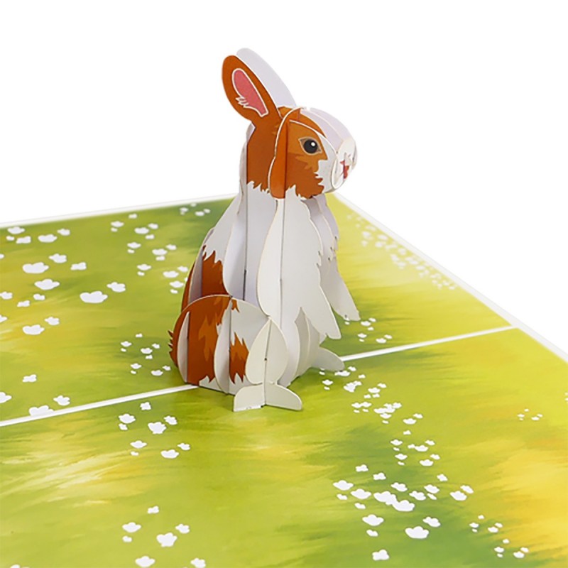 Rabbit Pop Up Card
