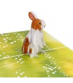 Pop Up Card Hare