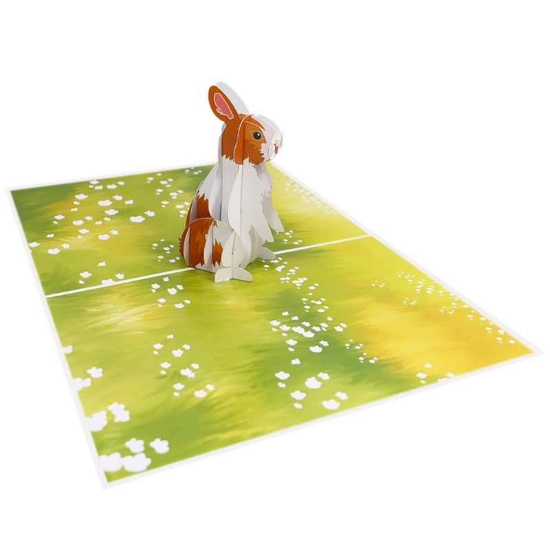 Rabbit Pop Up Card