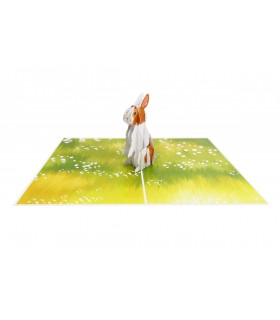 Rabbit Pop Up Card