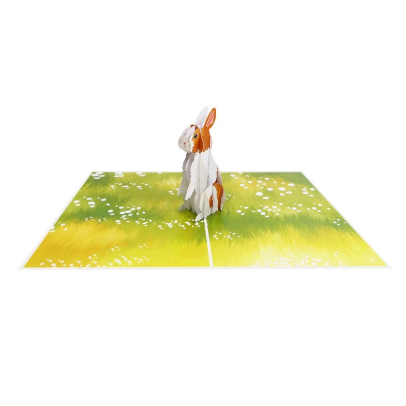 Rabbit Pop Up Card