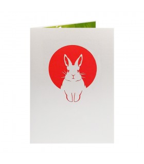 Rabbit Pop Up Card