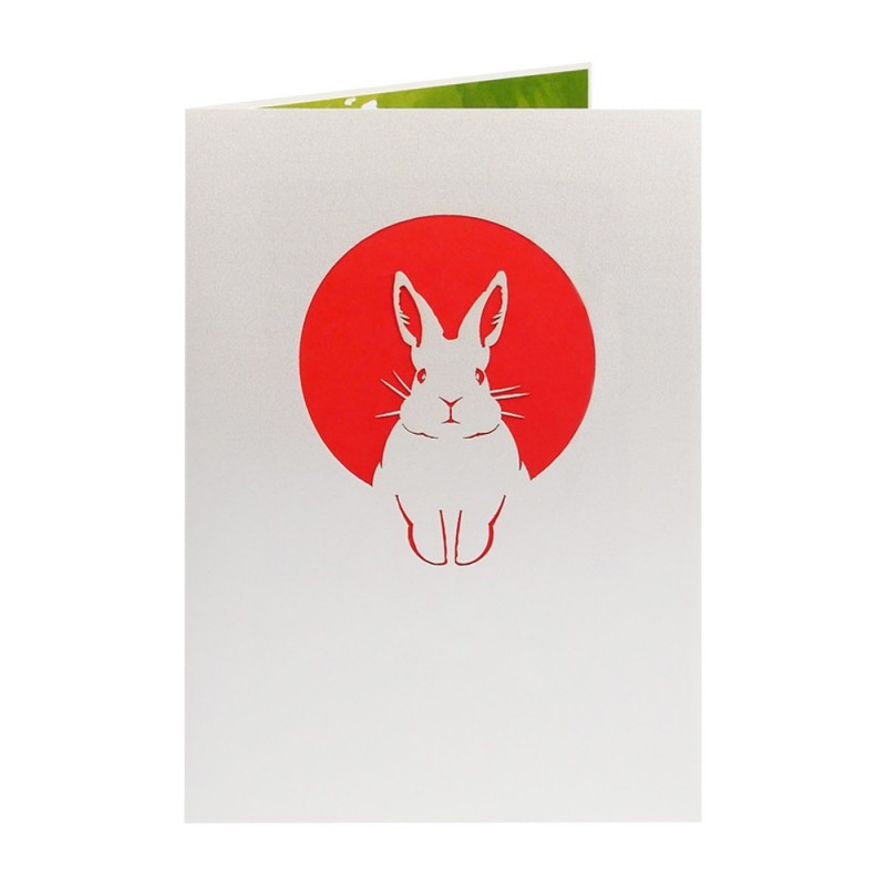 Rabbit Pop Up Card