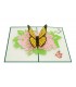 Schmetterling Pop Up Karte
