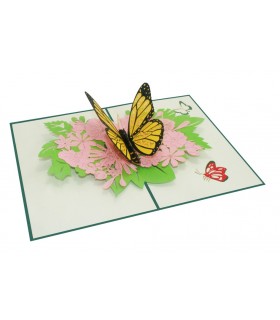 Schmetterling Pop Up Karte