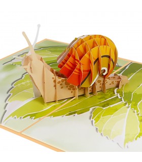 Snail pop up card