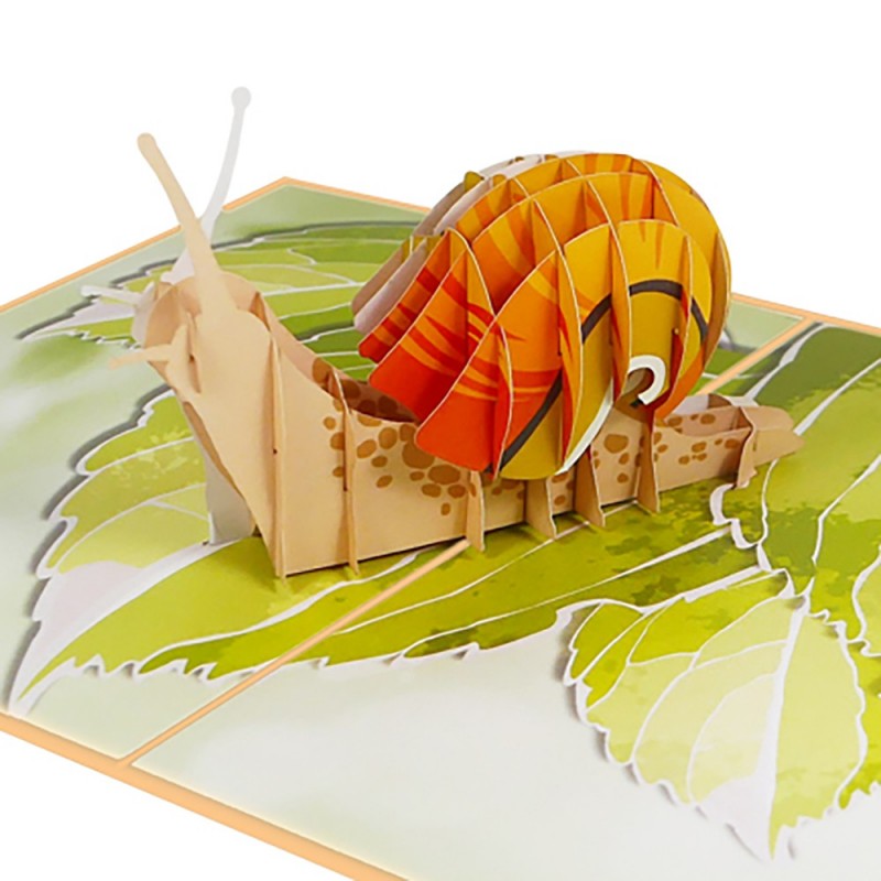 Snail pop up card