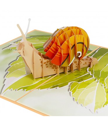 Snail pop up card