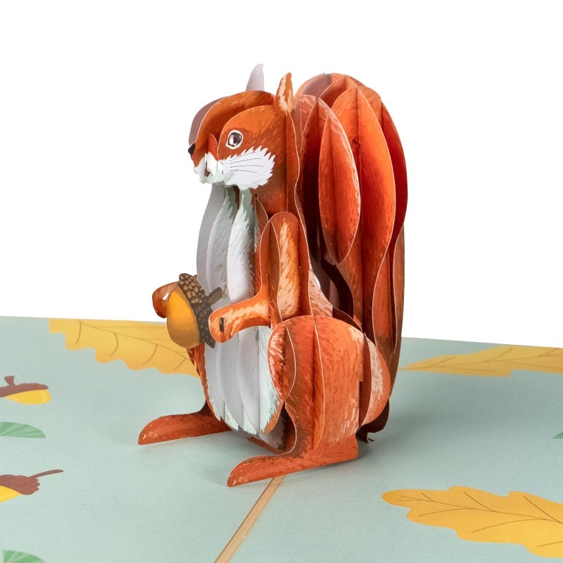 Squirrel pop up card