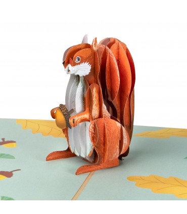 Squirrel pop up card
