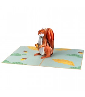 Squirrel pop up card