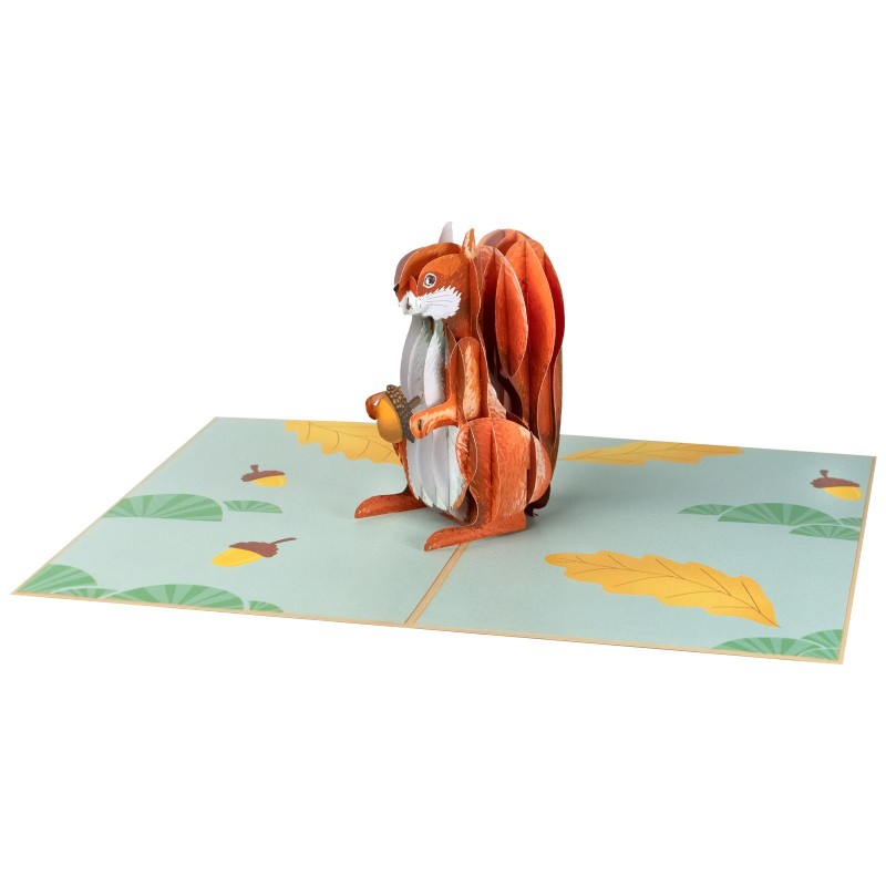 Squirrel pop up card
