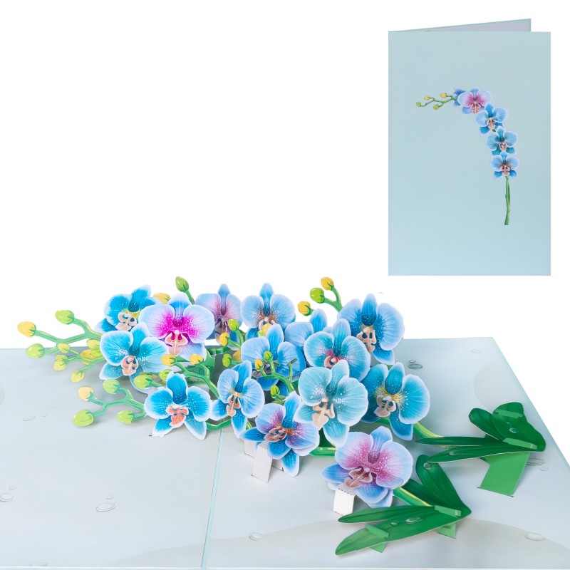 Orchid Pop Up Card