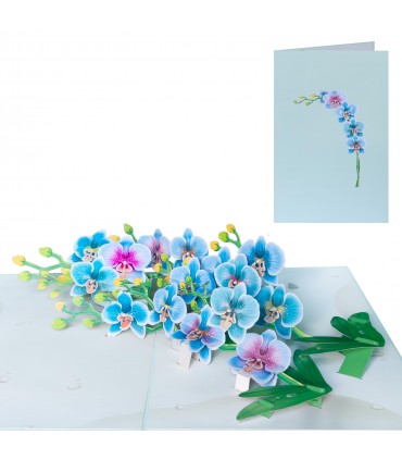 Orchid Pop Up Card