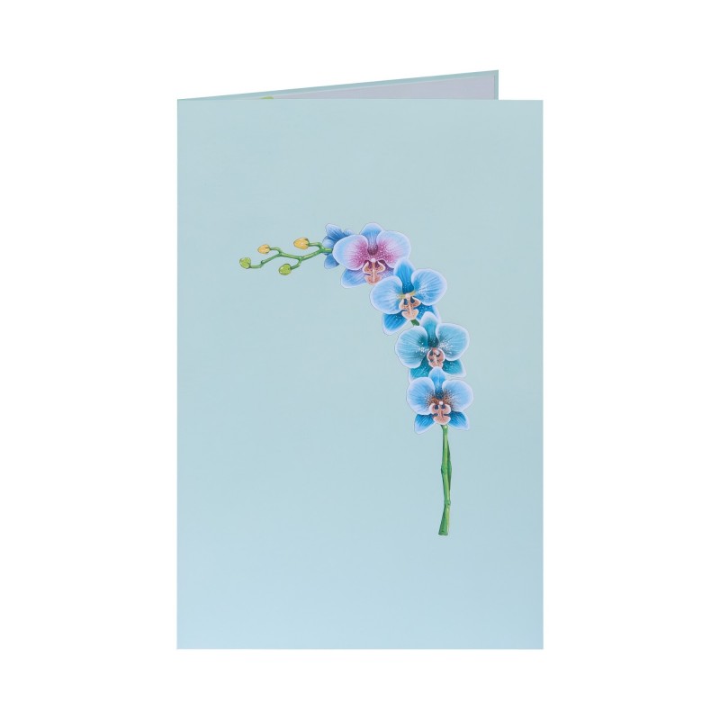 Orchid Pop Up Card