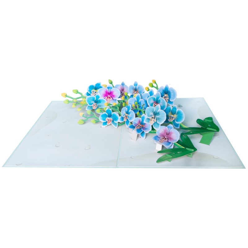 Orchid Pop Up Card