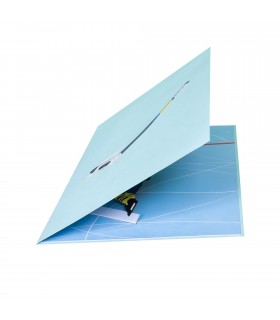 Ice hockey pop up card