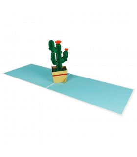 Cactus flower pop up card overview